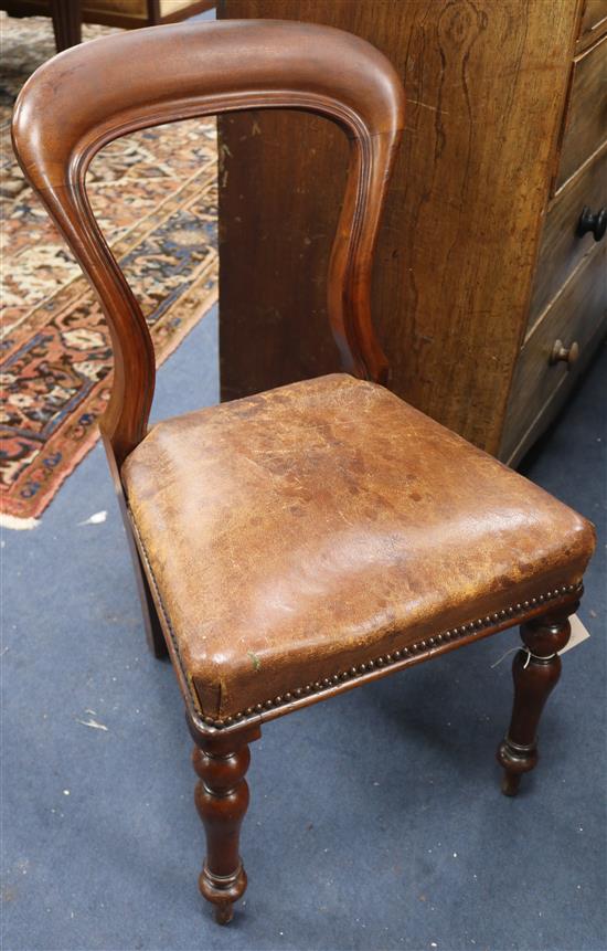 A set of six Victorian mahogany balloon back dining chairs